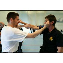 Beginners Kung Fu