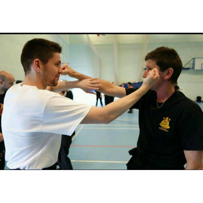 Beginners Kung Fu