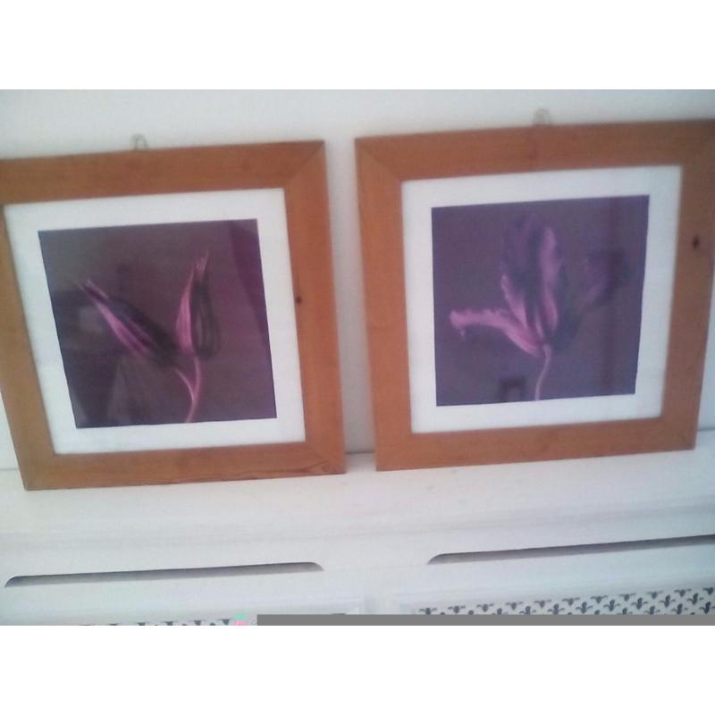 Two pictures in purple