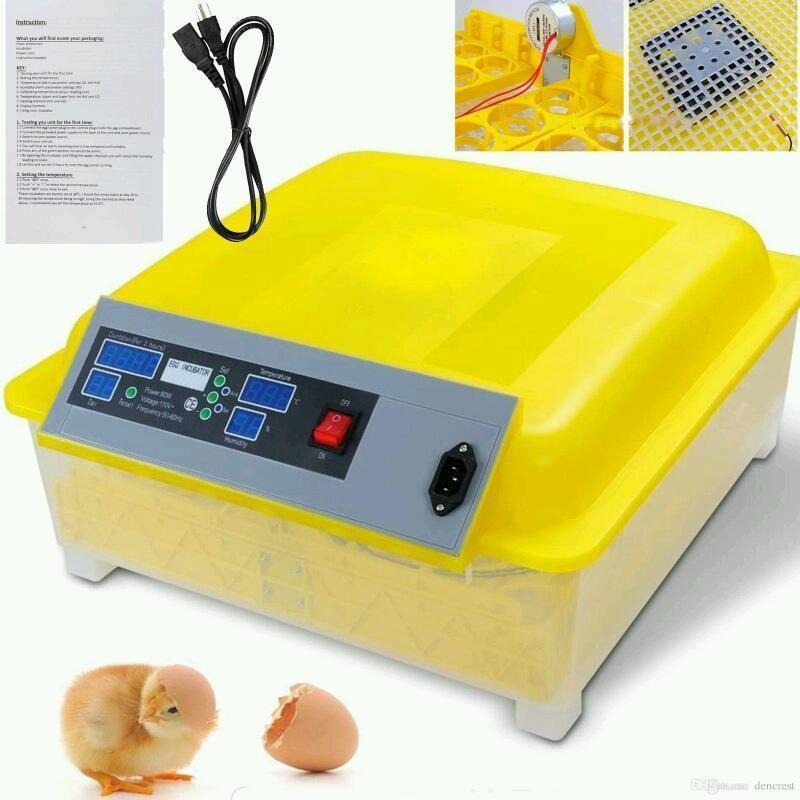 Egg incubator
