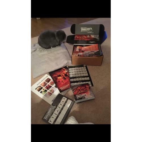 Insanity workout