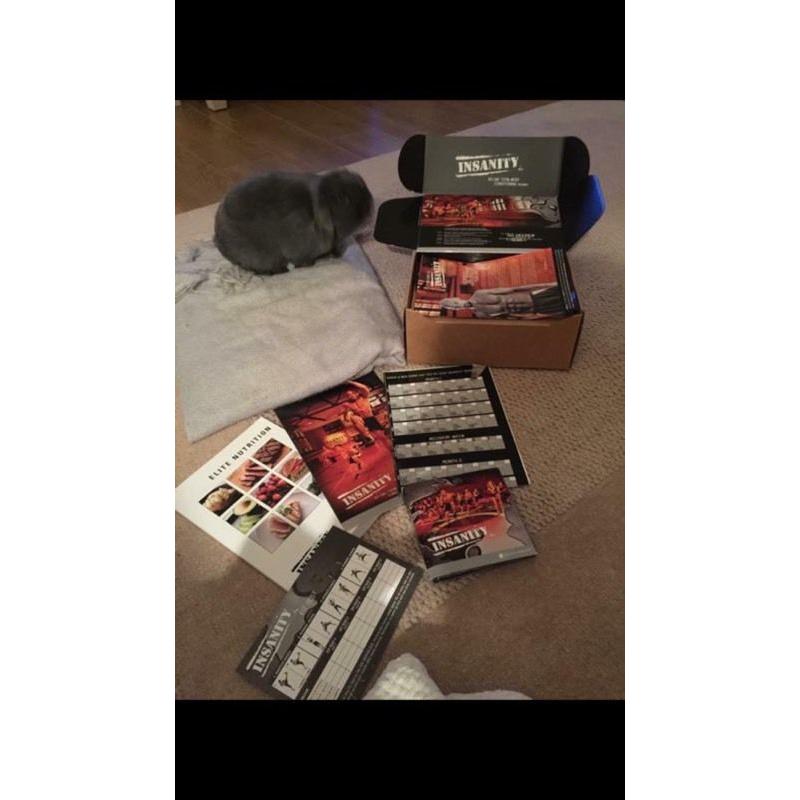 Insanity workout