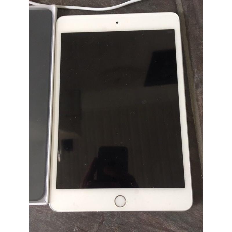 iPad mini 4