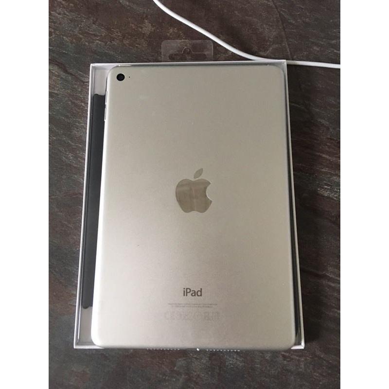 iPad mini 4