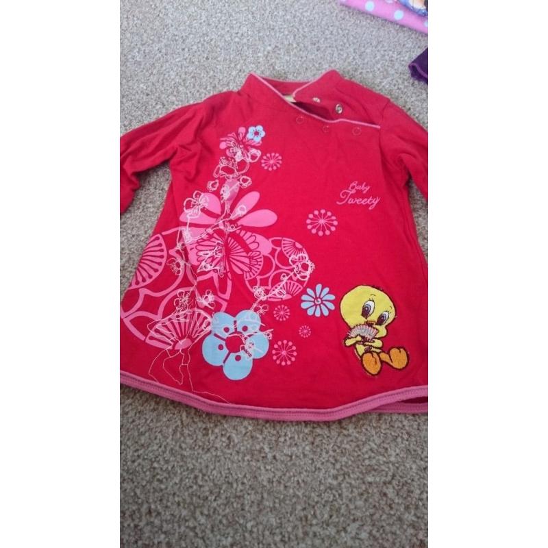 Baby girls clothes bundle 12-18months