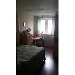 Bright and Sunny Double room near Battersea Park