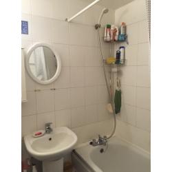 Bright and Sunny Double room near Battersea Park