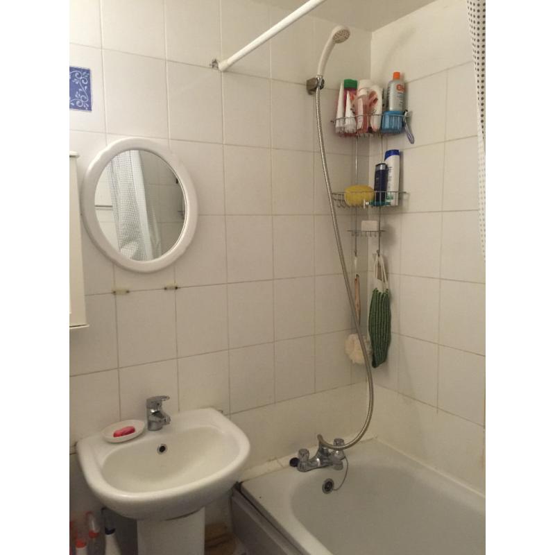 Bright and Sunny Double room near Battersea Park
