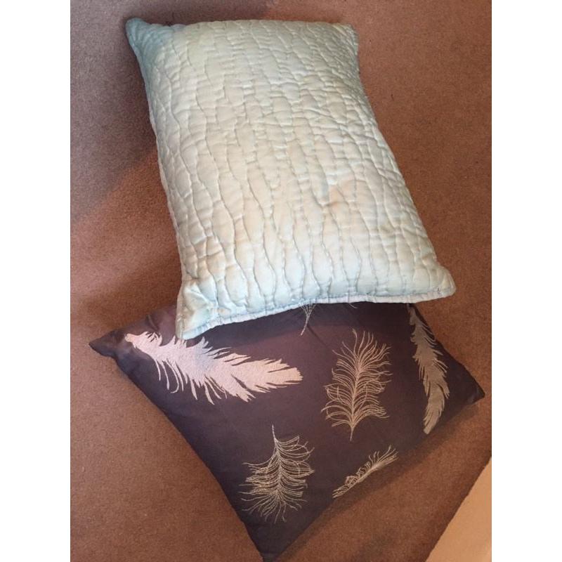 Cushions duck egg blue