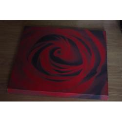 Rose Canvas