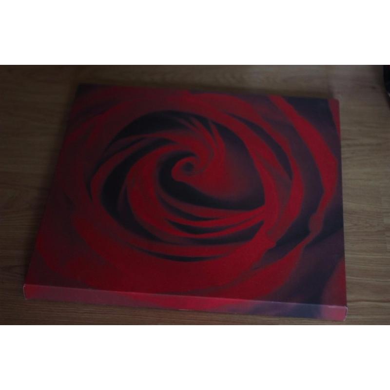 Rose Canvas