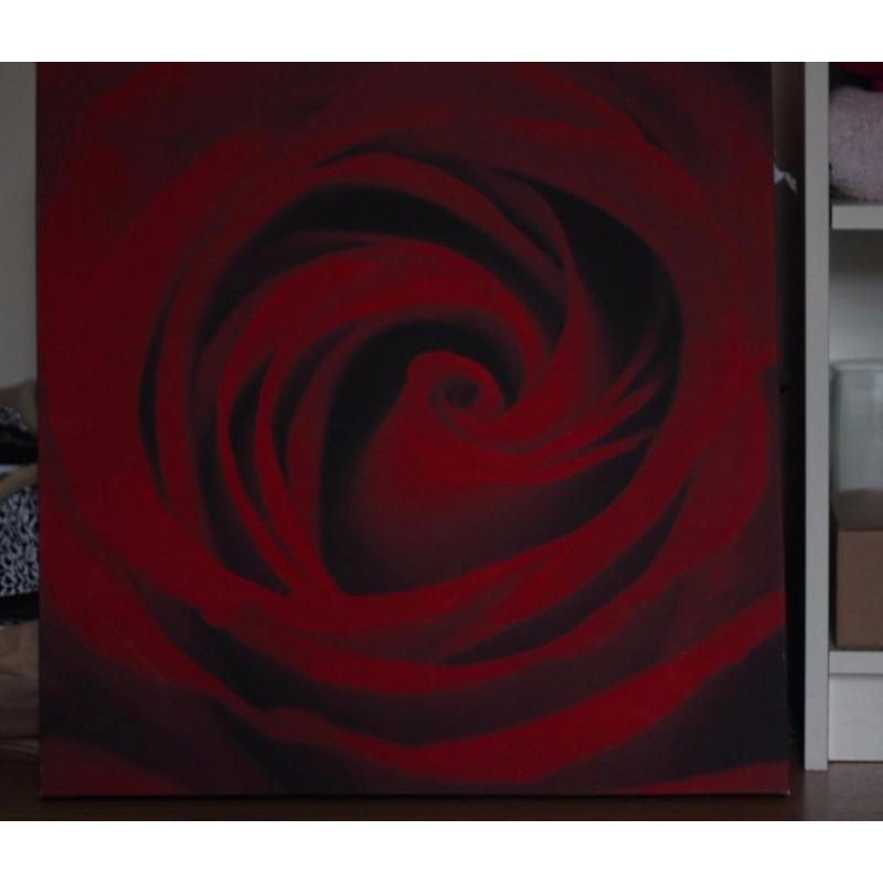 Rose Canvas