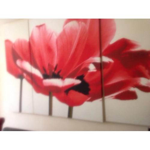 Large next poppy canvas - open to offers need sell ASAP due to moving