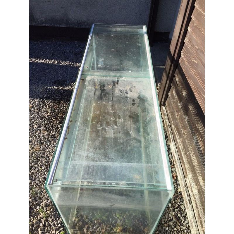 Large fish/reptile tank