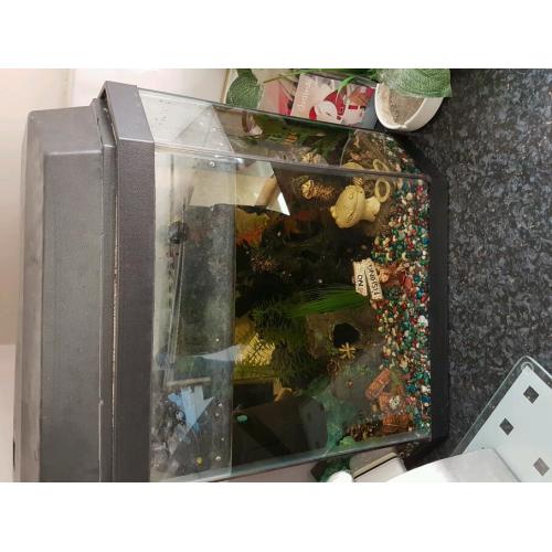 Fish tank