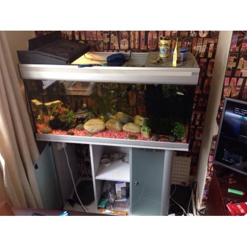 200 litrefish tank with stand full setup with fish
