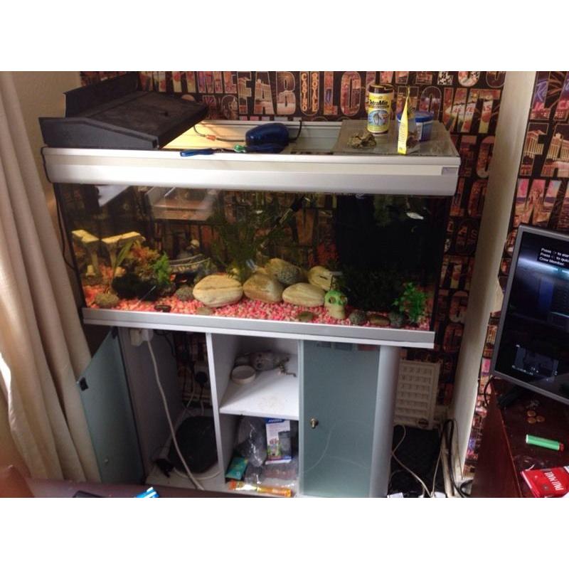 200 litrefish tank with stand full setup with fish