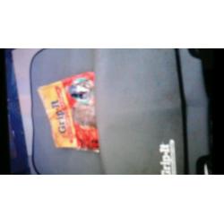 Car seat protected mat