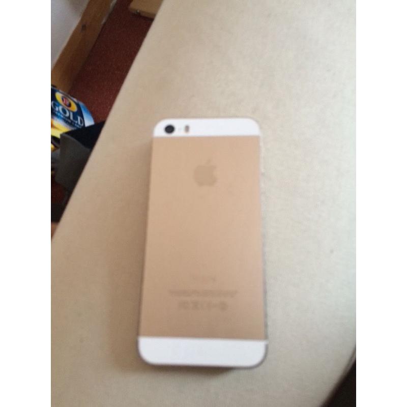 iPhone 5s