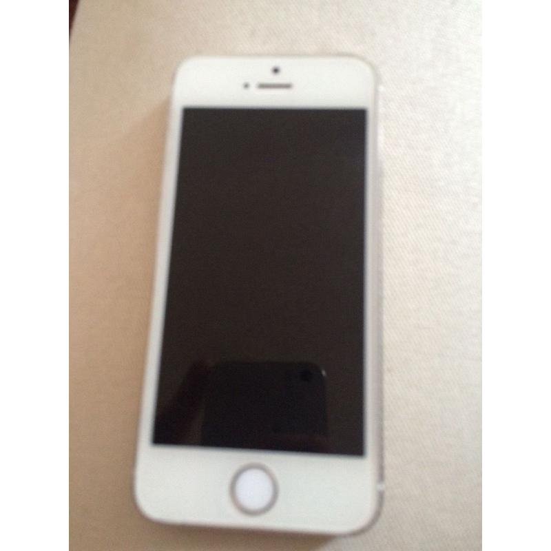 iPhone 5s