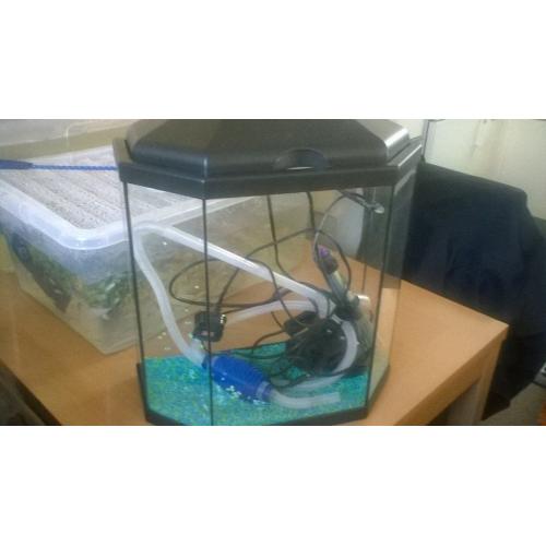 small fish tank ....................................................................................