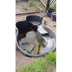 garden pond, filter and pump