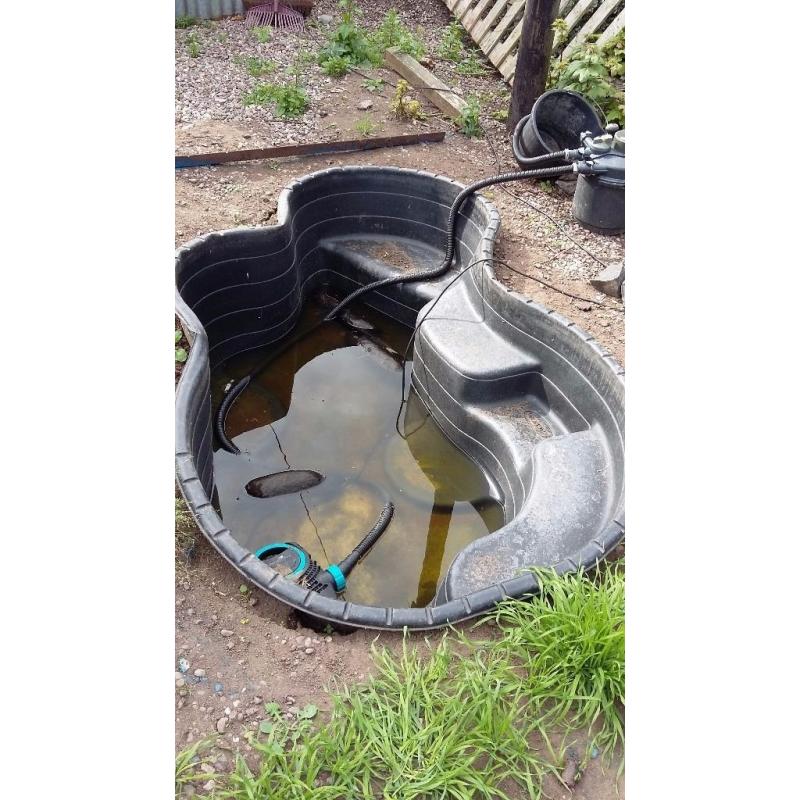 garden pond, filter and pump