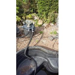 garden pond, filter and pump