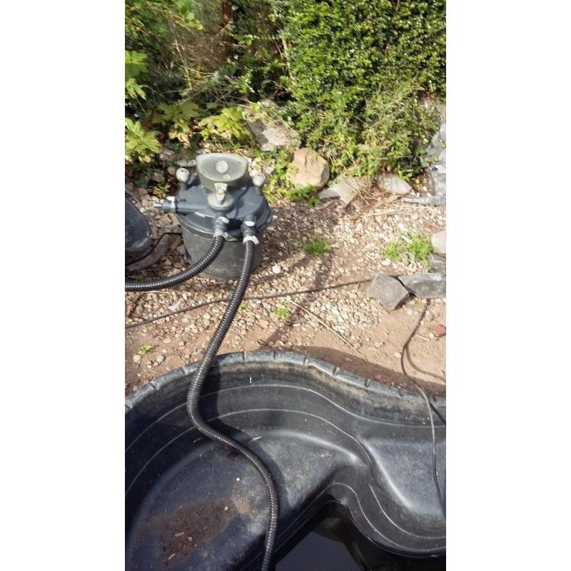 garden pond, filter and pump