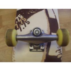 Feeble Skateboard