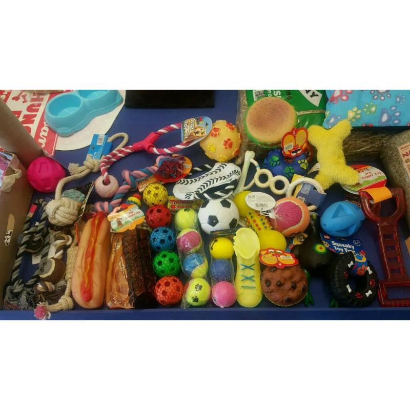 Dog toys bundle
