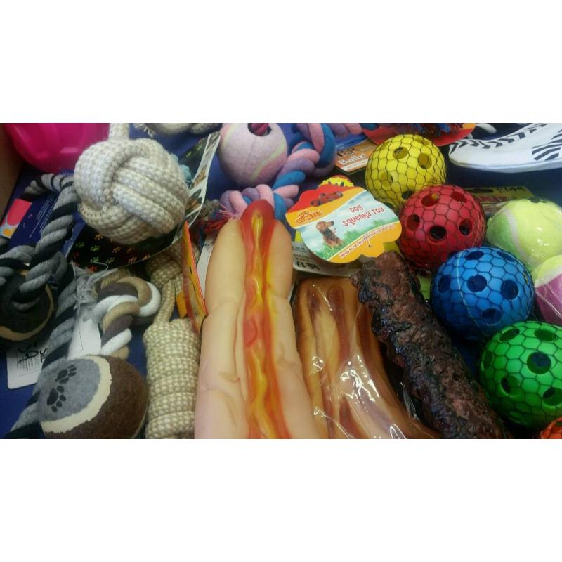 Dog toys bundle