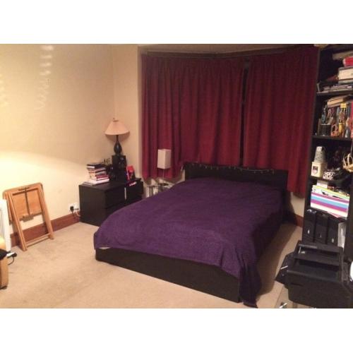 Lovely room for short-term let, 8-18th September