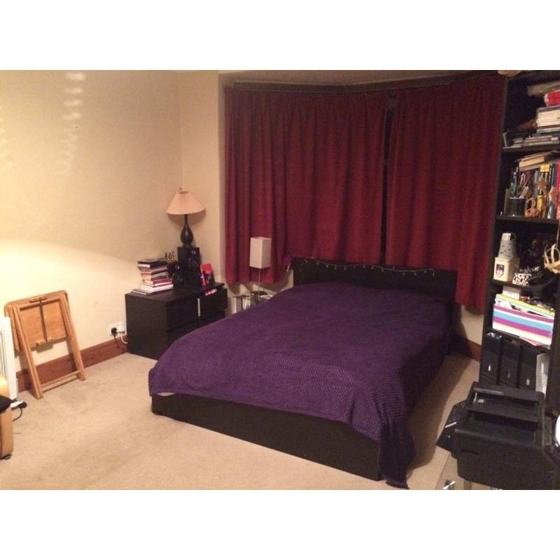 Lovely room for short-term let, 8-18th September