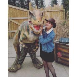 Looking for sociable house share in Bristol