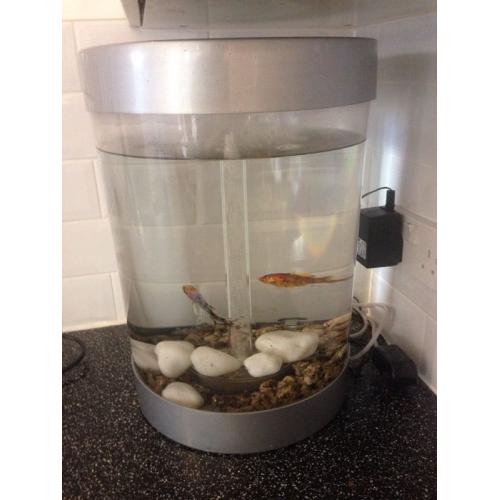 Biorb fish tank and extras
