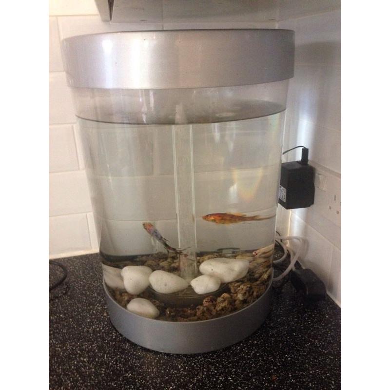 Biorb fish tank and extras
