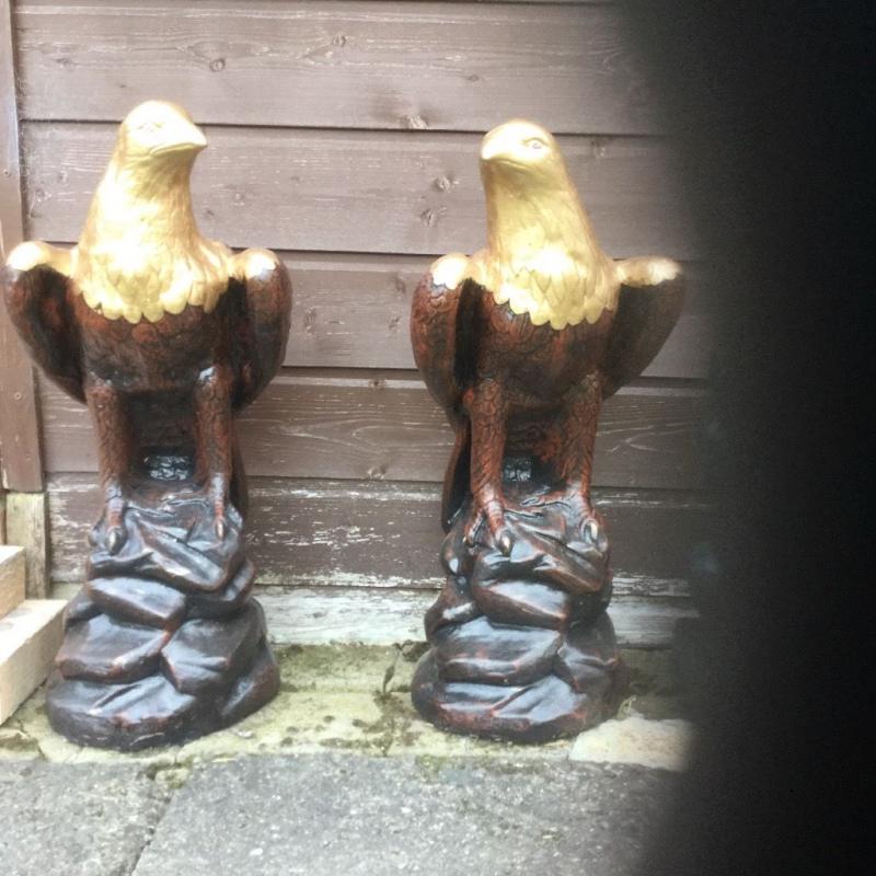 Golden eagles for sale