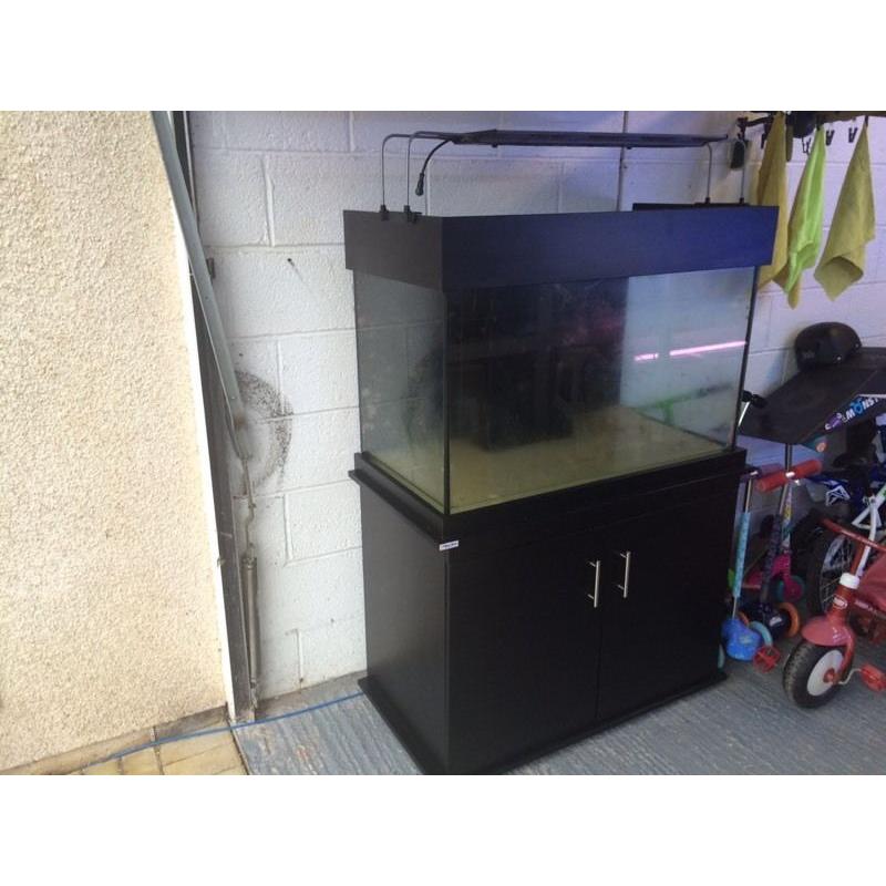 marine aquarium