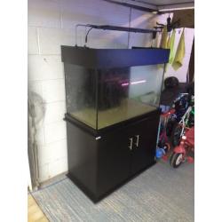 marine aquarium