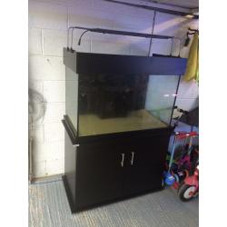 marine aquarium
