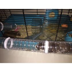 Hamster cage for sale