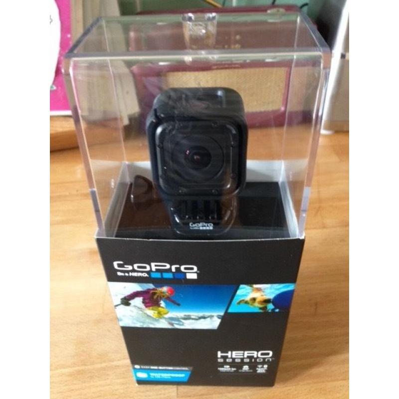 GoPro HERO Session Camera