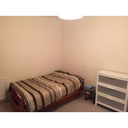 Cosy Room in Fun Friendly Flat