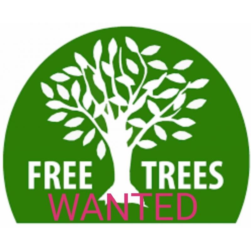 Trees wanted
