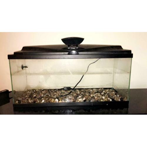 Tropical fish tank