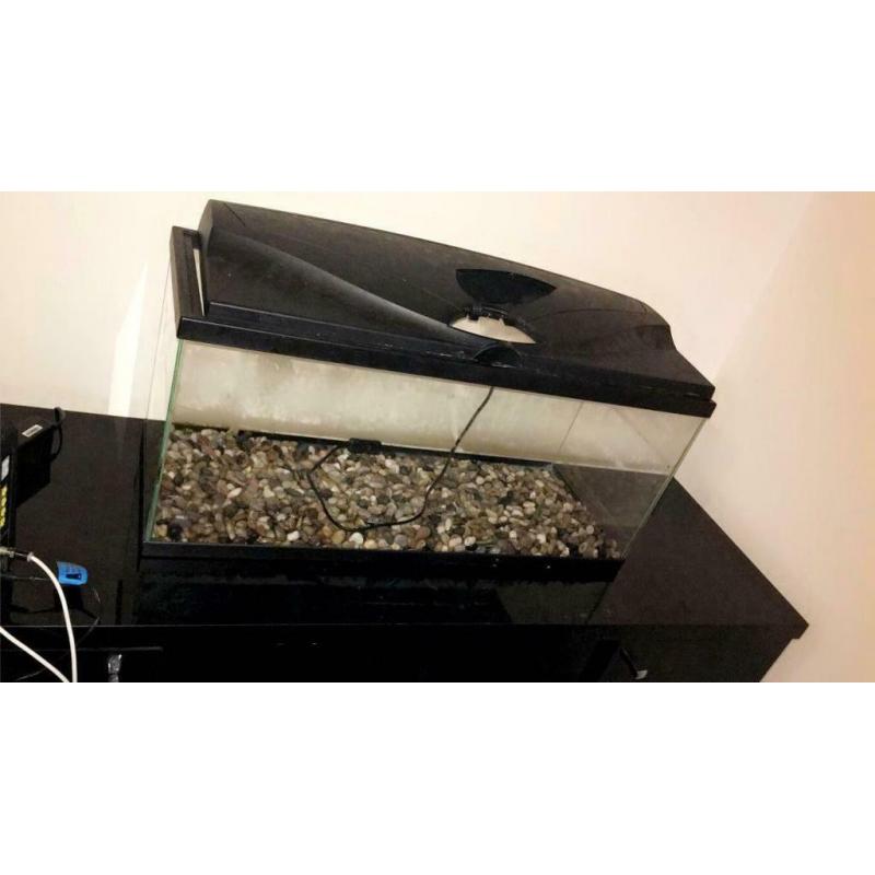 Tropical fish tank