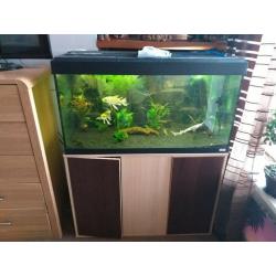fluval aquarium with stand and large external filter