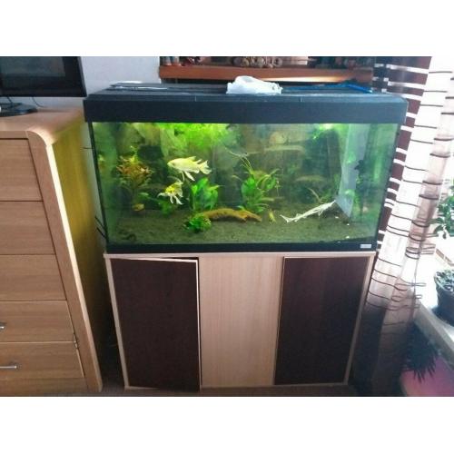 fluval aquarium with stand and large external filter