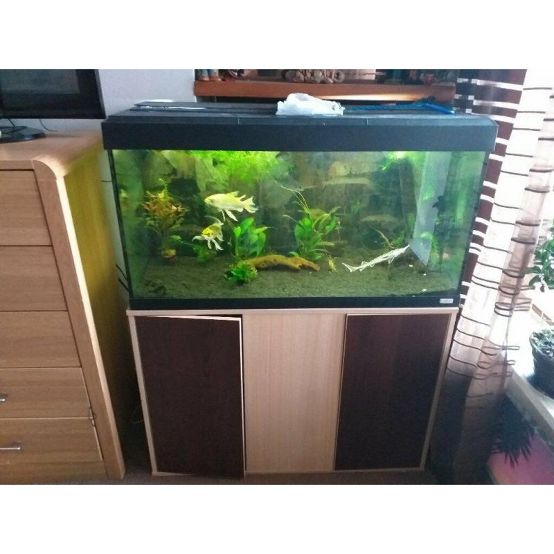 fluval aquarium with stand and large external filter